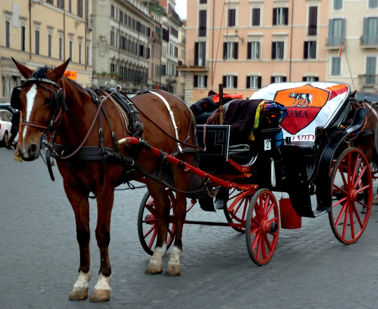 rome, italy, wheelchair. Accessible tour operators: the boundary question that decides who you hire