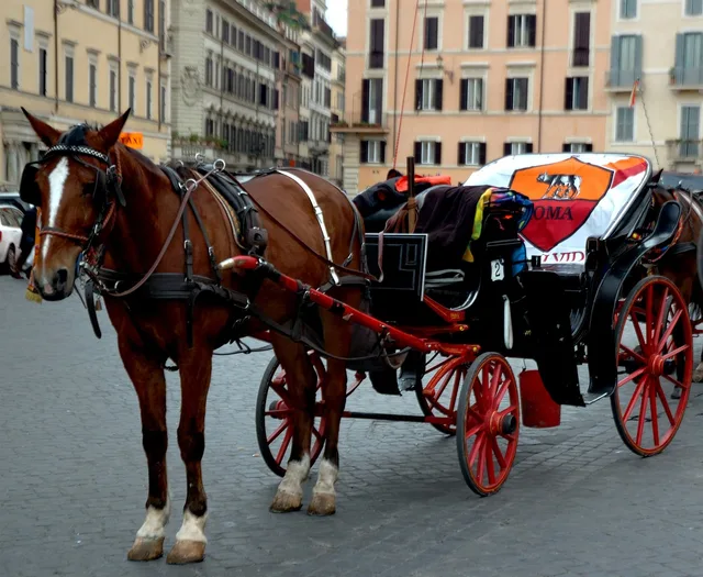 rome, italy, wheelchair. Accessible tour operators: the boundary question that decides who you hire