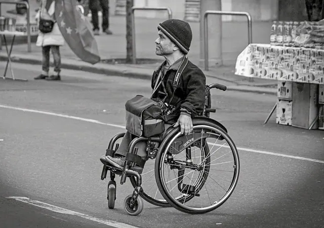 wheelchair, disabled, budapest, demonstration, demonstrator, handicapped, disability, accessibility, mobility, health, paraplegic, handicap, assistance, injured, wheelchair, wheelc