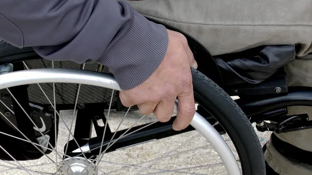wheelchair, disabled, someone with reduced mobility, man, promenade, hand, wheelchair, wheelchair, wheelchair, wheelchair, wheelchair, disabled. Wheelchair-Accessible Trails on the Oregon Coast