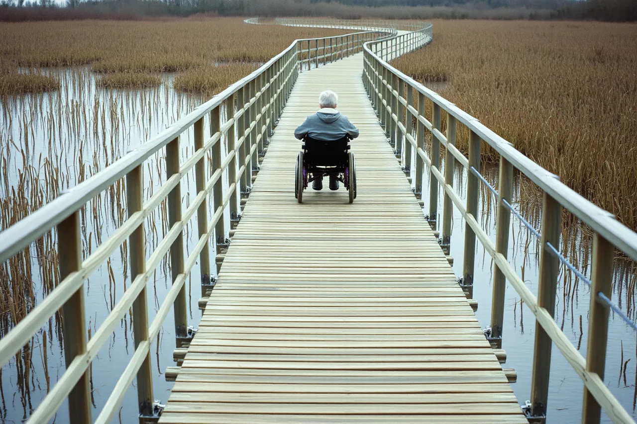 Wheelchair user on a continuous level boardwalk crossing a wetland (Which accessible weekend getaways actually hold up once you arrive)